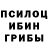 Псилоцибиновые грибы Magic Shrooms Sam Gutierrez