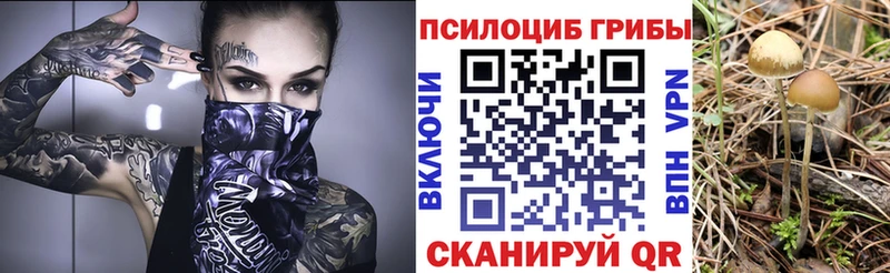 Галлюциногенные грибы Magic Shrooms  гидра tor  Комсомольск 