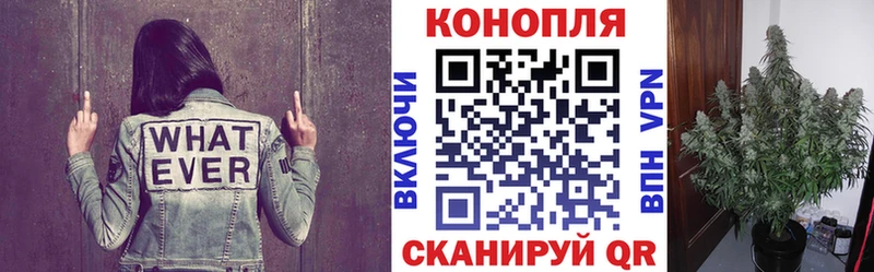 МАРИХУАНА White Widow  мега ссылки  Комсомольск  закладки 